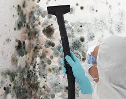 Best Residential Mold Inspection & Testing  in South St Paul, MN